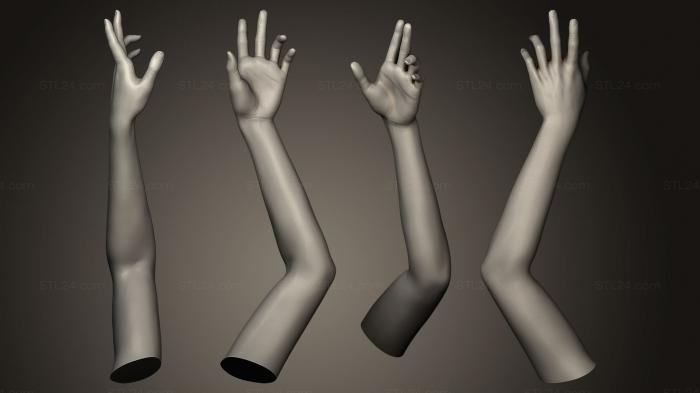 Анатомия скелеты и черепа (Поза женской Руки 10, ANTM_0076) 3D модель для ЧПУ станка